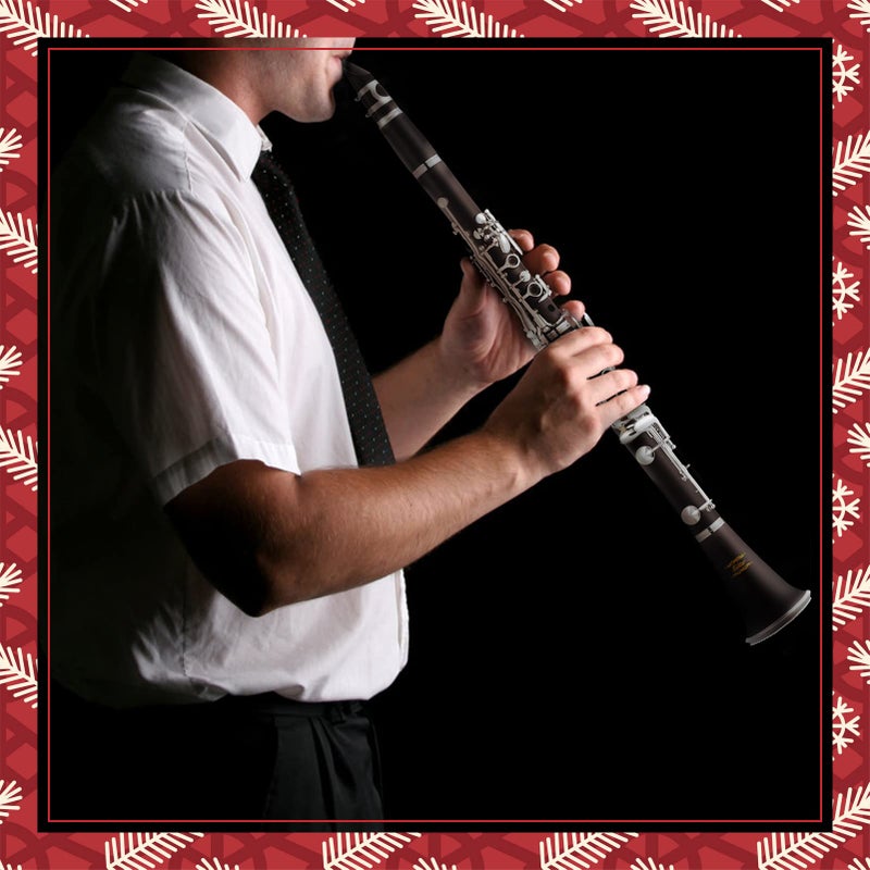 Eastar B Flat Clarinet for Beginner, Ebonite Clarinet Nickel-plated with 2 Barrels, 3 Reeds, White Gloves, Hard Case, Cleaning Kt, ECL-300 - Image 2